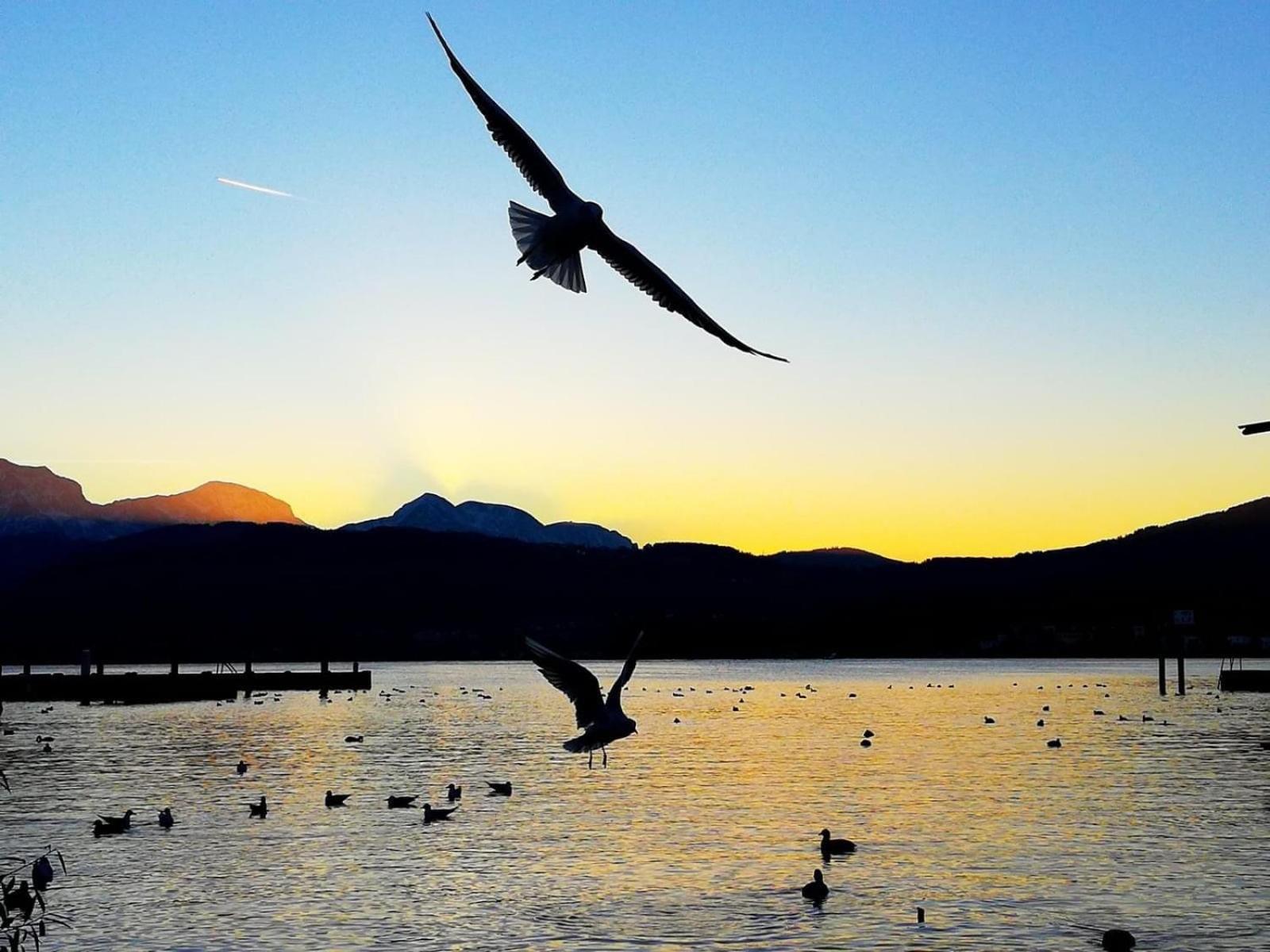 Seepanorama An Der Esplanade 1 Gmunden Esterno foto