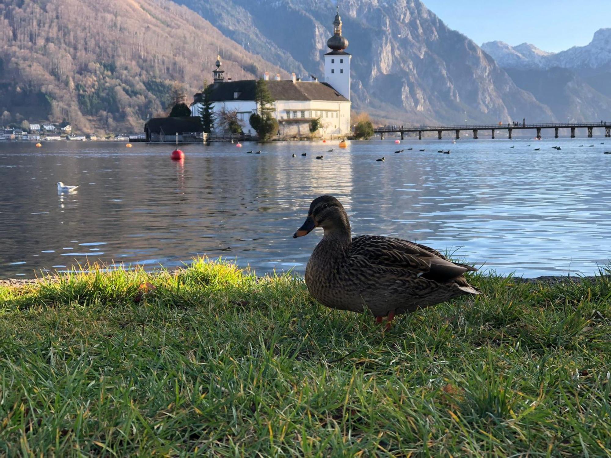 Seepanorama An Der Esplanade 1 Gmunden Esterno foto
