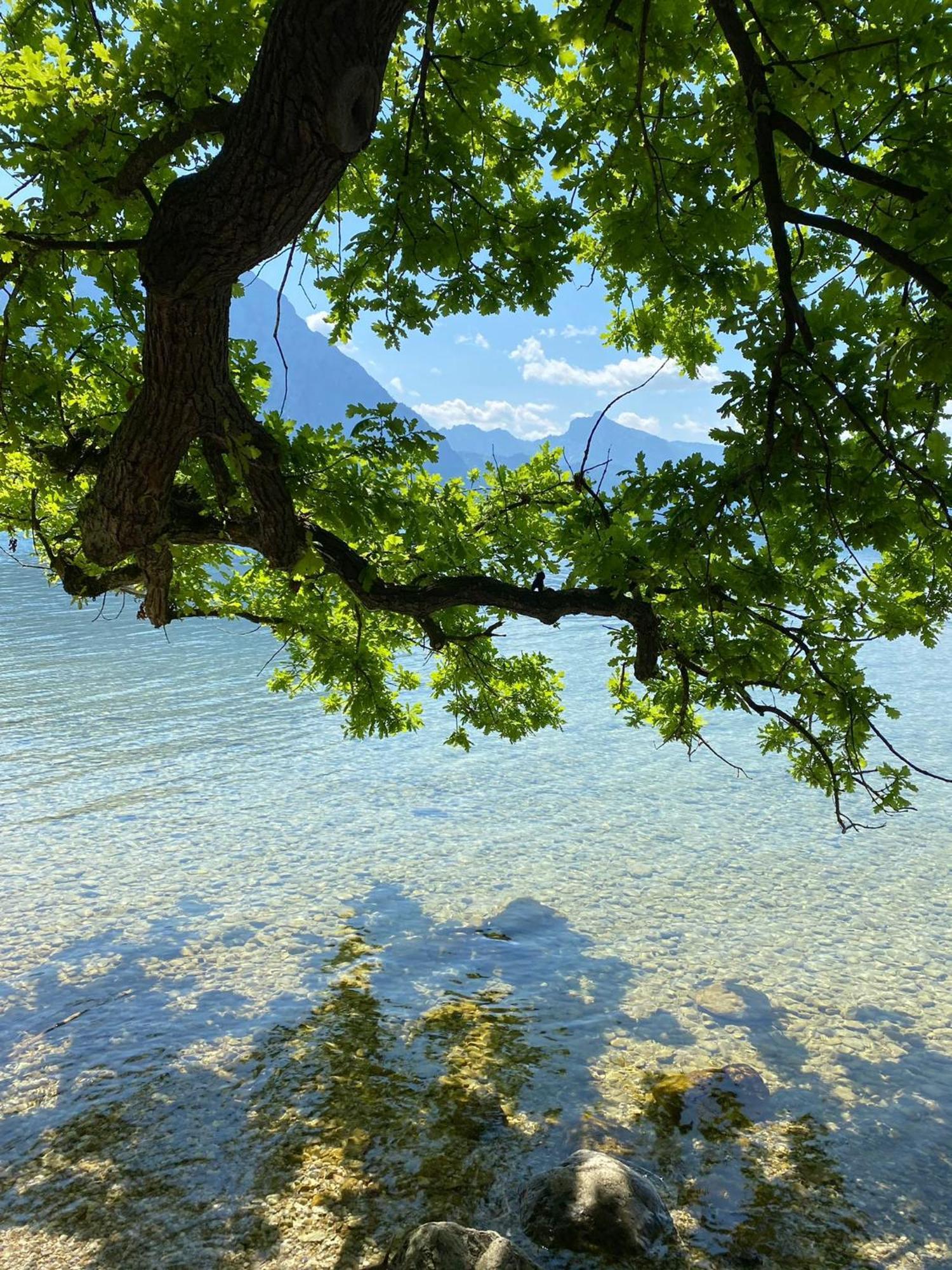 Seepanorama An Der Esplanade 1 Gmunden Esterno foto